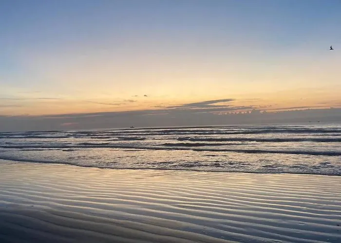 Apto Mobiliado Completo A 4 Min Da Praia Do Sape!